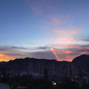 芬兰美女与动物交配
