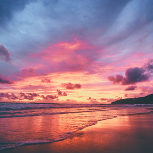 芬兰美女与动物交配
