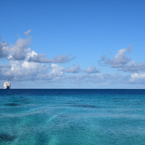 芬兰美女与动物交配
